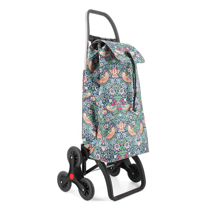 Huvudbild Rolser 6L shoppingvagn, trappklättrare, birds
